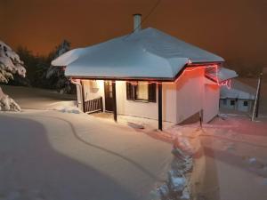 Povetarac durante el invierno