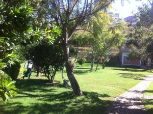 a person walking in a yard with a tree at SAHA NOFY Ambohimalaza Guest in Antananarivo