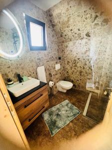 a bathroom with a shower and a sink and a toilet at Prima Vista in Žabljak