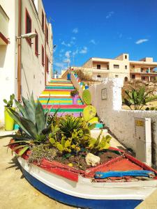 Un grupo de escaleras coloridas con plantas en ellas. en Vincenzo Apartment, en Lampedusa