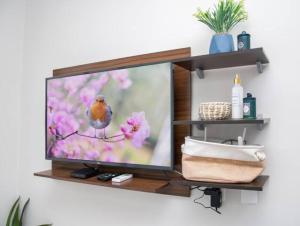 un televisor en una pared con un pájaro sentado en una rama en Delicado Monoambiente-comfy Studio en Luque