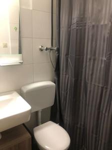 a bathroom with a toilet and a shower curtain at Eine 2 Zimmer Ferienwohnung Münster City in Münster