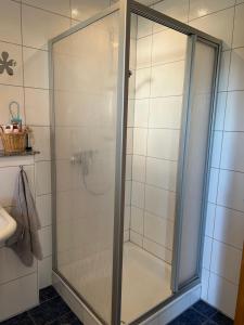 een douche met een glazen deur in de badkamer bij An den Weinbergen in Güntersleben