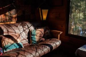 Sofá con almohadas en una habitación con ventana en Casa isleña Extasis Propio en Tigre