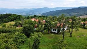 Paesaggio naturale nelle vicinanze della villa