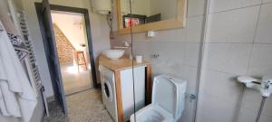 Koupelna v ubytování Kuća u planini T Polje Subjel