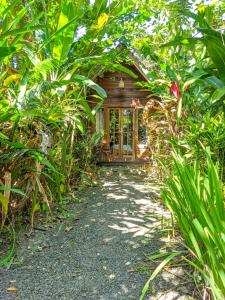 Zahrada ubytování Coconut Tree Cottages
