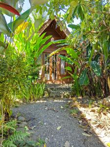 Zahrada ubytování Coconut Tree Cottages