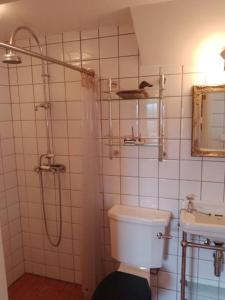 y baño con ducha, aseo y lavamanos. en Gladsax Gamla Gård en Simrishamn