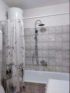 Ένα μπάνιο στο Apartman Novaković