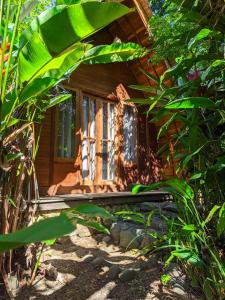 Coconut Tree Cottages في Batukaras: كابينة خشبية مع نافذة في غابة