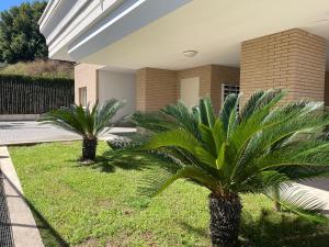 two palm trees in front of a house at Panoramic view in Rome 5 K m to Vatican in Rome