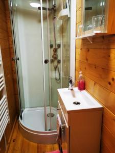 a bathroom with a shower and a sink at Roulotte la passe pierre in Pendé