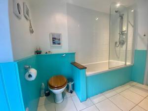 a bathroom with a toilet and a shower at Brook Cottage is a traditional fisherman's cottage in Port Isaac