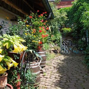 a group of flowers in barrels in a garden at Beim Schlafwandler in Karlsbad