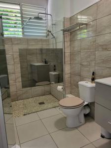 ル・ゴジエにあるAppartement magnifique vue merのバスルーム(トイレ、洗面台、シャワー付)