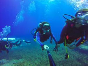 two people are scuba diving in the ocean at Baga Sea Link in Baga