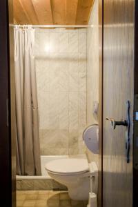 a bathroom with a toilet and a shower at Hotel Schwarzer Adler in Rothenburg ob der Tauber