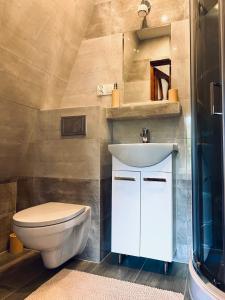 La salle de bains est pourvue d'un lavabo blanc et de toilettes. dans l'établissement Agroturystyka SKALNE, à Szczawa