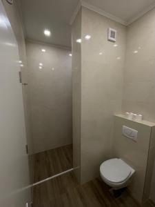 a bathroom with a toilet and a shower at Vista in Trebinje +20 photos