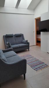 a living room with a couch and a tv at Haus am Park in Rasùn di Sotto