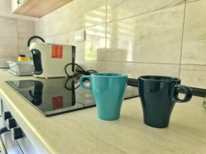 Kuchyň nebo kuchyňský kout v ubytování Apartman Berlin Sokobanja