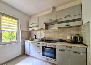 Kuchyň nebo kuchyňský kout v ubytování Apartman Berlin Sokobanja