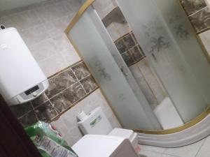 ein Badezimmer mit einem weißen WC und einem Spiegel in der Unterkunft Yenifoça taş ev 1.daire in Foça