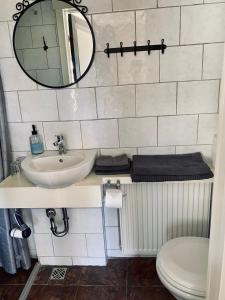 a bathroom with a sink and a mirror and a toilet at Hraunsnef Country Hotel in Bifrost