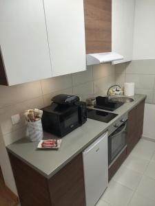 Kuchyň nebo kuchyňský kout v ubytování Apartman Muzika Jagodina