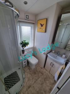 a bathroom with a shower and a toilet and a sink at Lucy's Lodge in Rhyl
