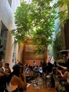 Os clientes hospedados em Baloo Hostel