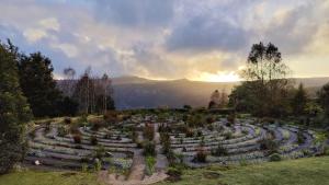 a garden with plants in a field with the sunset at The Edge Mountain Retreat in Hogsback