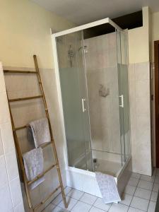 una ducha con puerta de cristal en un baño en Le petit coin des oliviers, en Colmar