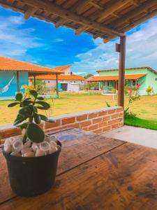カライーバにあるPousada Villa Esperança - Xandó - Caraíva BAの鉢植え
