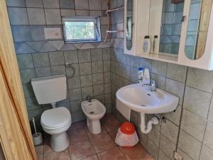La petite salle de bains est pourvue de toilettes et d'un lavabo. dans l'établissement Exotic sleeping in the woods near Olbia, à Telti