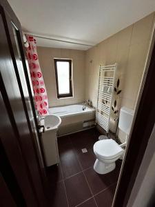 ein Badezimmer mit einer Badewanne, einem WC und einem Waschbecken in der Unterkunft Casa Larisa in Chişcău