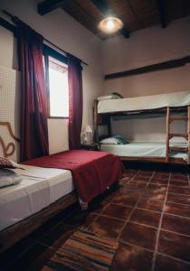 普爾馬馬卡的住宿－Hotel Cactus Cerro，一间卧室设有两张双层床和一扇窗户。