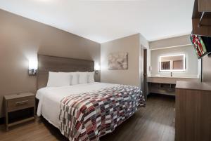 um quarto de hotel com uma cama e uma janela em Red Roof Inn Chattanooga - Hamilton Place em Chattanooga
