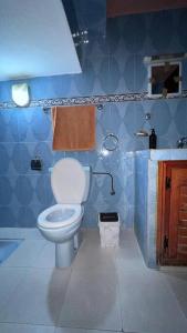 a blue bathroom with a toilet and a sink at Pearl in the Middle Atlas - ground floor in Azrou