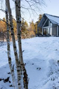 a tree and a building in the snow at Cichosfera- Dom w Dusznikach-Zdrój in Duszniki Zdrój