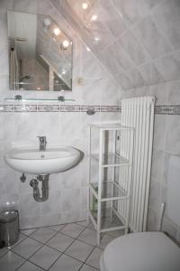 a bathroom with a sink and a toilet and a mirror at Ferienwohnung Lini in Schwerin