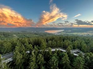 an aerial view of a building in the trees at Apartmán Skis in Černá v Pošumaví