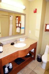 Koupelna v ubytování Hampton Inn & Suites Moline-Quad City Int'l Aprt