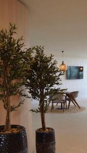 dwa drzewa w doniczkach w pokoju ze stołem w obiekcie Aqua Vista Infinity Spa & Pool Studio Lux w mieście Năvodari