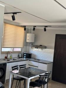 Een keuken of kitchenette bij Luxury Rooftop WiFi, AC, BBQ