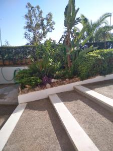 ogród z krzakami i roślinami w obiekcie Glyfada First Center w Atenach
