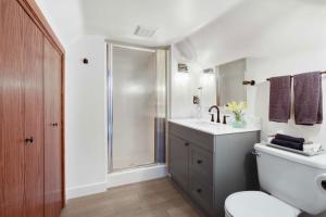 a bathroom with a shower and a toilet and a sink at Lake Pepin Waterfront Cottage - Steps to Beach! in Lake City