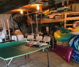 un tavolo da ping pong in una stanza con una palla da ping pong di Cozy Lakefront with Beach of your own! a Franklin