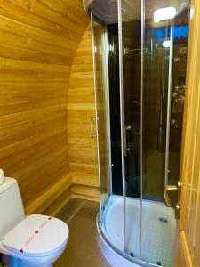 łazienka z toaletą i prysznicem w obiekcie Mountain View Hotel Complex w mieście Jabulkowec